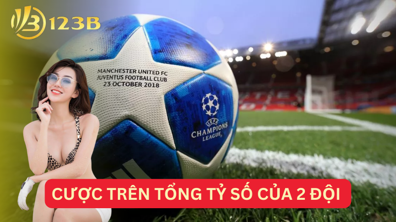 Cược trên tổng tỷ số của 2 đội 