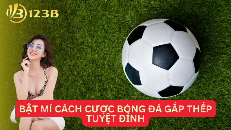 Bật mí cách cược bóng đá gấp thếp tuyệt đỉnh