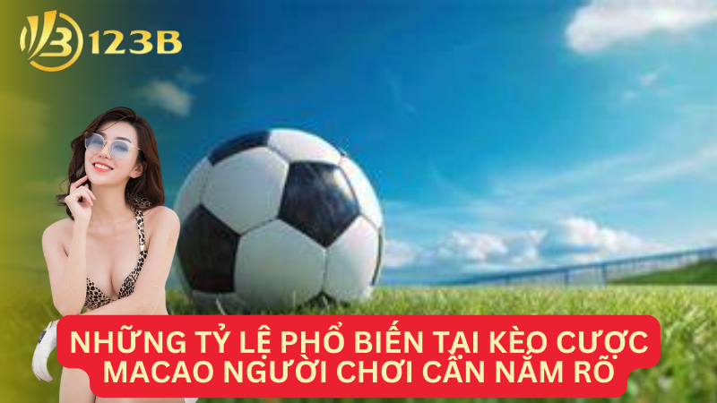 Những tỷ lệ phổ biến tại kèo cược macao người chơi cần nắm rõ